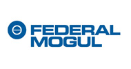 Federal Mogul