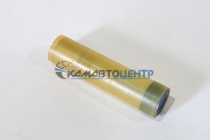 пара плунжерная