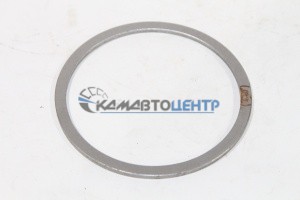 шайба