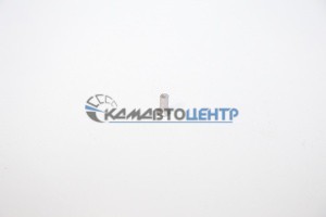 Заклёпка 5*12 (колодки стояночного тормоза)